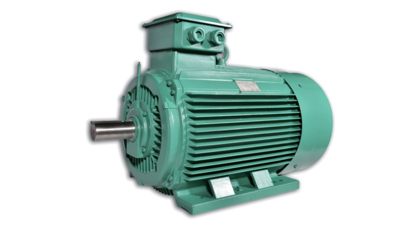 Preview product of: OptIMity 3-Phase Induction Motors