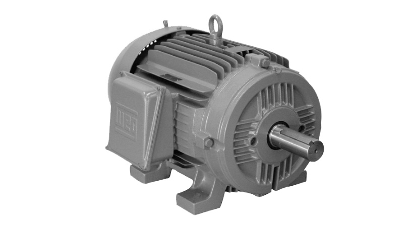 Preview product of: WEG IEC Motors
